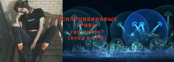 ALPHA-PVP Козловка