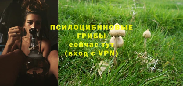 индика Коряжма