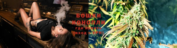 a pvp Кодинск